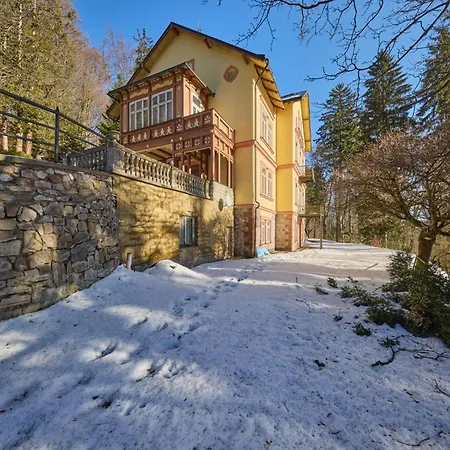Apartman Belvedere-8 By Interhome Janské Lázně